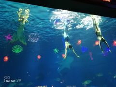 -烟台海昌鲸鲨海洋公园