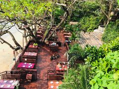 -卷心菜和避孕套餐厅(Pattaya)