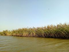 景点-红海滩国家风景廊道