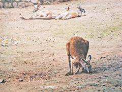 -西安秦岭野生动物园
