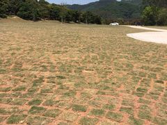 -大屏嶂森林公园