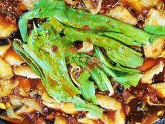 -都江堰石锅鱼