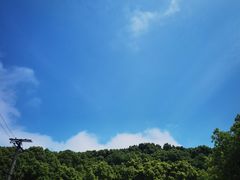 -上海佘山国家森林公园天马山园