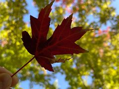 -北京西山国家森林公园