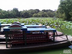 -紫竹院公园冰场