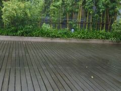 android_upload_pic-太湖湾开元名庭大酒店