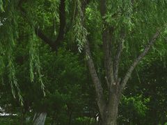 -玄武湖景区-情侣园游乐场