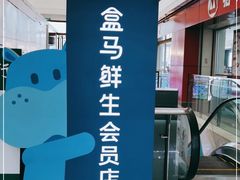 -盒马鲜生(大成店)
