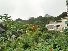 -杭州西湖风景名胜区-满觉陇四眼井