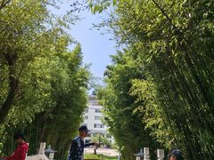 -南诏风情岛