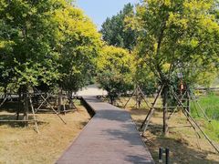 -东郊湿地公园