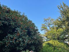 -湛山寺