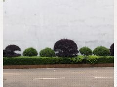 -千龙湖生态旅游度假区