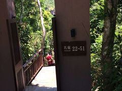 -三亚亚龙湾人间天堂鸟巢度假村