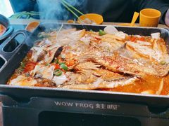 -蛙喔牛蛙(高新绿宝店)