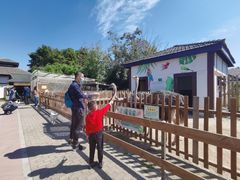 -太阳岛度假酒店