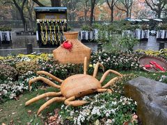 -上海共青森林公园