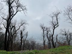-紫金山天文台