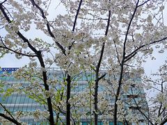 -创智天地-停车场