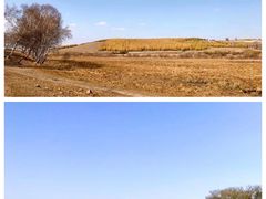 -御道口草原森林风景区