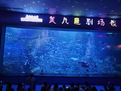 -多彩贵州城极地海洋世界