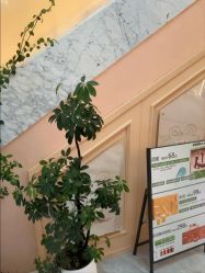 -头道汤·茜曼缇娜