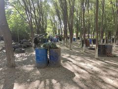 -亲兄弟真人CS团建拓展基地