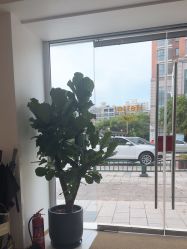 -WENDY·温迪皮肤管理