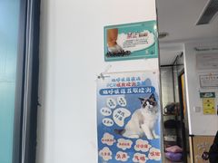 -瑞派天使宠物医院·神经外科·骨科·核磁(洛川中路店)