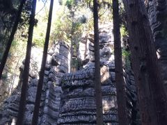 -梭布垭石林景区