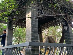 -竹吟山房