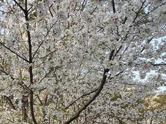 -玉山公园
