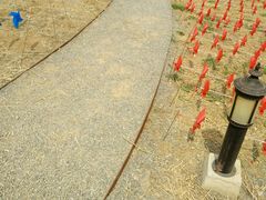 -紫云台香草园