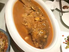 -阿五黄河大鲤鱼(英协路店)
