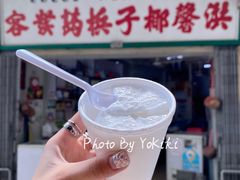 -洪馨椰子