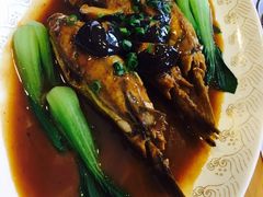 -天正河鲀·河豚亭(大连店)