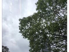 -天河体育中心
