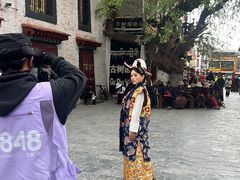 -古树酸奶(八廓南街店)