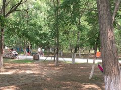 -长白岛森林公园