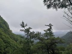 -王顺山国家森林公园