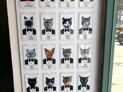 -喵屿·大理花园猫咖