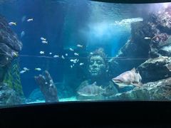 -暹罗海洋世界