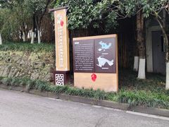 -重庆彩云湖湿地公园