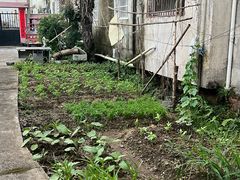 -余头饭店(金字牌市场监督管理所西)