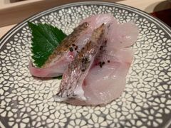 -橼舍鮨青木
