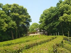 -西湖风景区十里琅珰-五云山