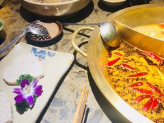 -小龙坎老火锅(鹤伴一路店)