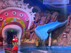 -烟台海昌鲸鲨海洋公园