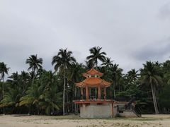 -东郊椰林