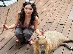 -呀诺达热带雨林